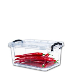 Box SOFIA, 5 L, 13,5 x 31 x 20 cm,